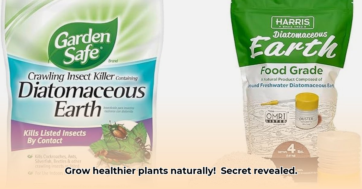 diatomaceous-earth-food-grade-tractor-supply